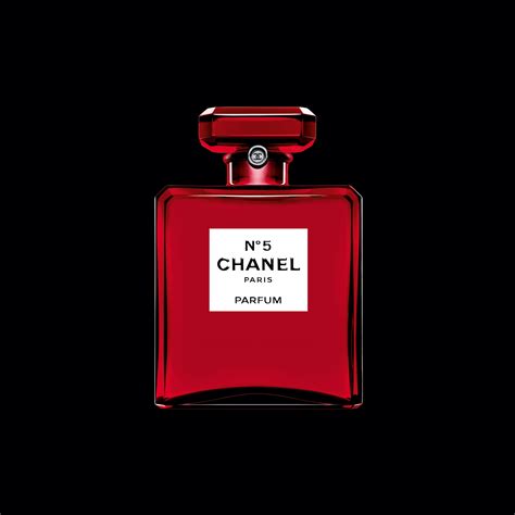 chanel no 5 at belks.